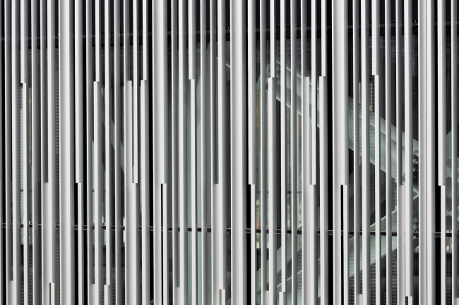 �������� Città del Sole � Marco Cappelletti