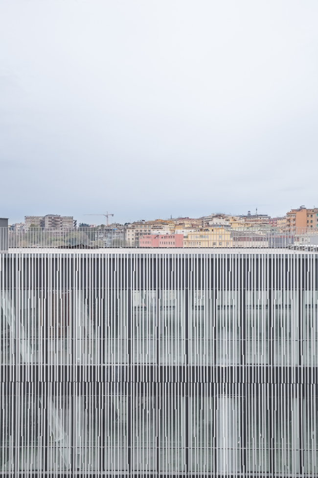 �������� Città del Sole � Marco Cappelletti
