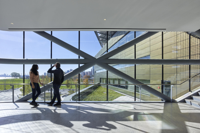 ������ ��������-����� �� ������� Cornell Tech. ����: Matthew Carbone ��� Morphosis
