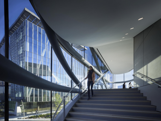 ������ ��������-����� �� ������� Cornell Tech. ����: Matthew Carbone ��� Morphosis