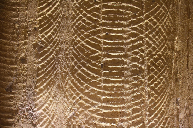 ������� ������� �������-���-����� �  Lucie Coursaget