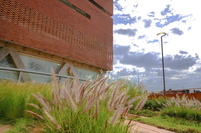 �������� Fundación Santa Fe de Bogotá � ���������� � Fundación Santa Fe de Bogotá