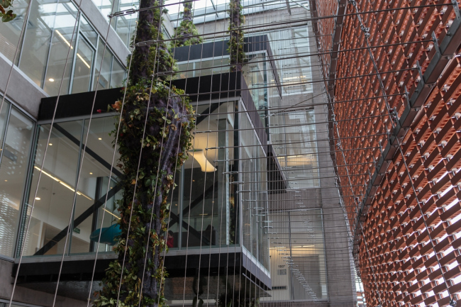 �������� Fundación Santa Fe de Bogotá � ���������� � Alejandro Arango