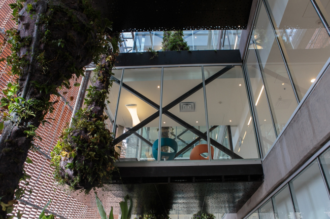 �������� Fundación Santa Fe de Bogotá � ���������� � Alejandro Arango