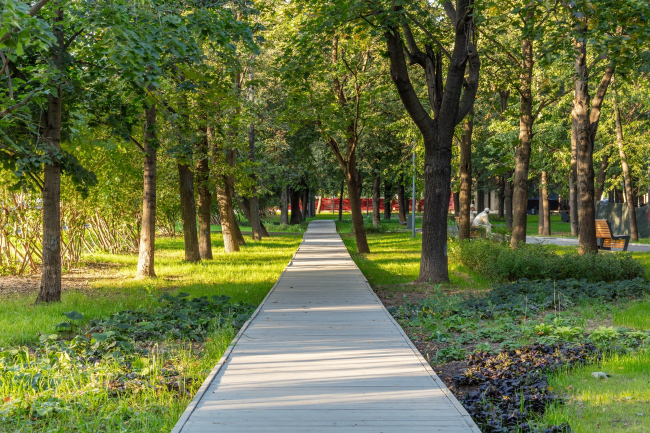 Reorganization of the Krasnogvardeiskie Ponds � WOWHAUS