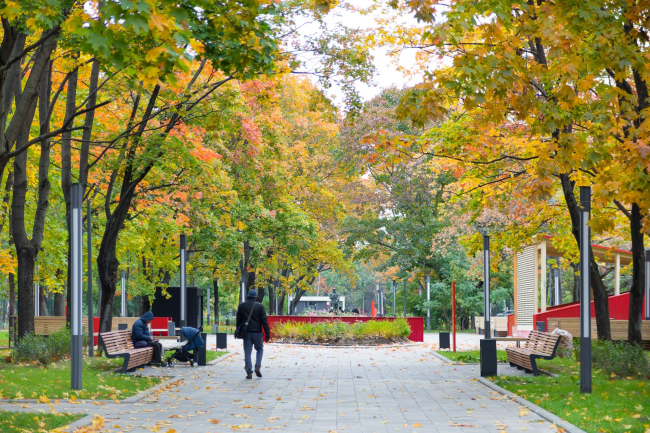 Reorganization of the Krasnogvardeiskie Ponds � WOWHAUS