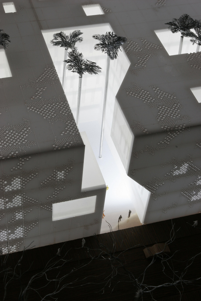 ������ ���������� � ������� � Mecanoo Architecten