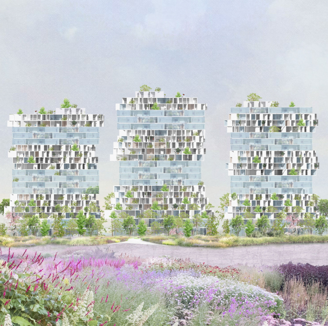 ����������� ����� ��������� ���������� �� ����������� ���������, 12. �����. 
�����: �. ����������. � ���������� ���� ����ѻ