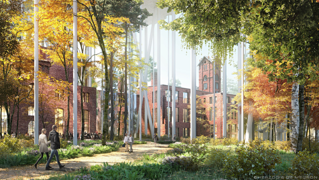 ������ ��������� ���������� ����������� ������������� ������. ����������� � Herzog & de Meuron