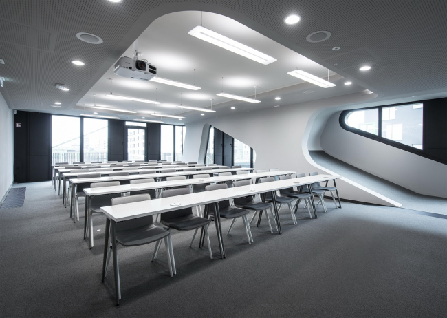 ����������� FOM � ����������� � David Franck