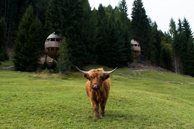 ���� �� �������� Pigna � Architetto Beltrame Claudio