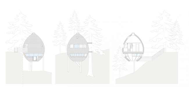 ���� �� �������� Pigna � Architetto Beltrame Claudio