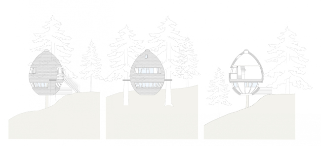 ���� �� �������� Pigna � Architetto Beltrame Claudio