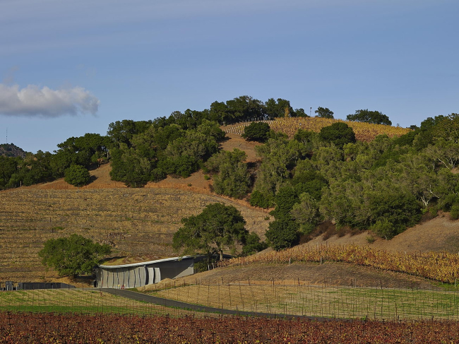 ���������� Odette Estate � Adrian Gregorutti