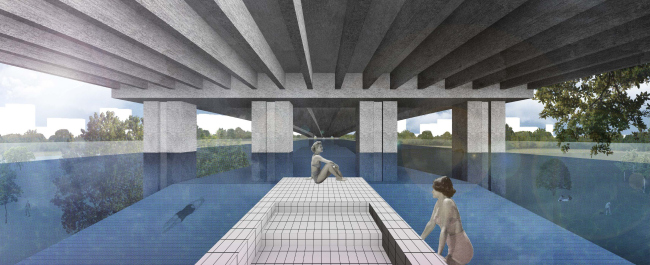 ������ ���������. �����: ���� �����������. ����������� ������������� ����