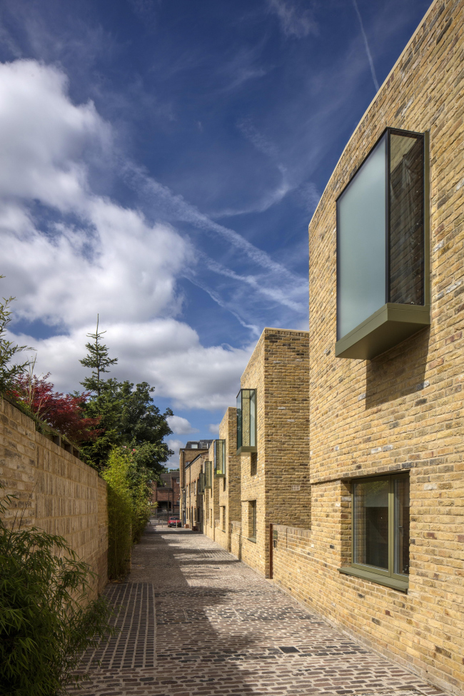 ���� �����-���� � Morley von Sternberg