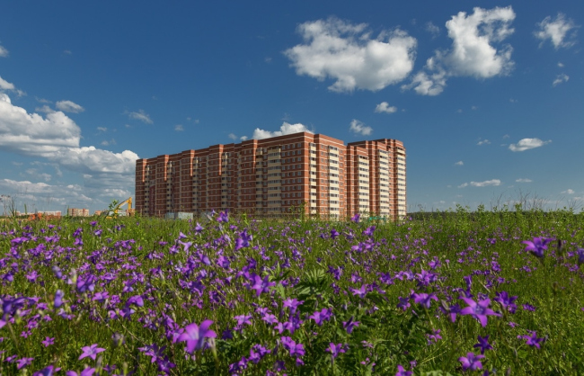 �� ������-����. ���������: �������