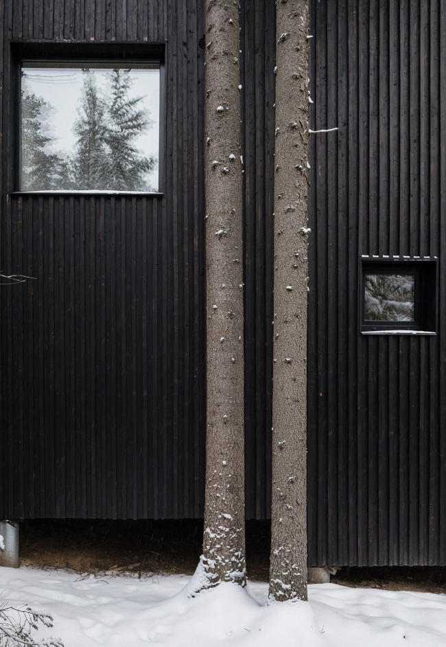 ��� ��� ���� ����������. ���������� � ������� ����������  