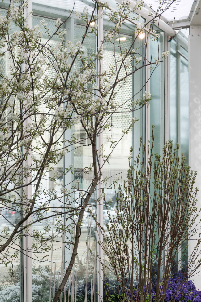 �������� ������ ������� �� ������� ������-����-����� � ������. ����������� � Delfino Sisto Legnani and Marco Cappelletti