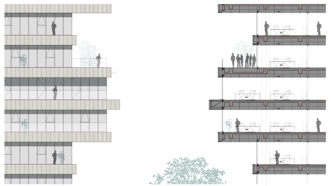 ����������� �������������� ����������� � WSP ARCHITECTS