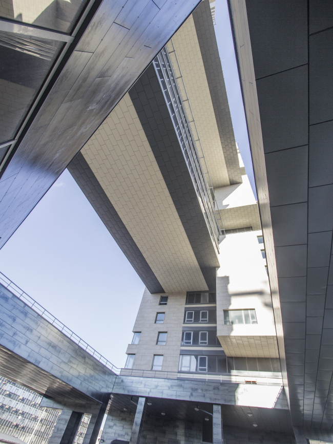 ����� �������� �Versis� �� ����������� ��������� � ������������� ���� �������