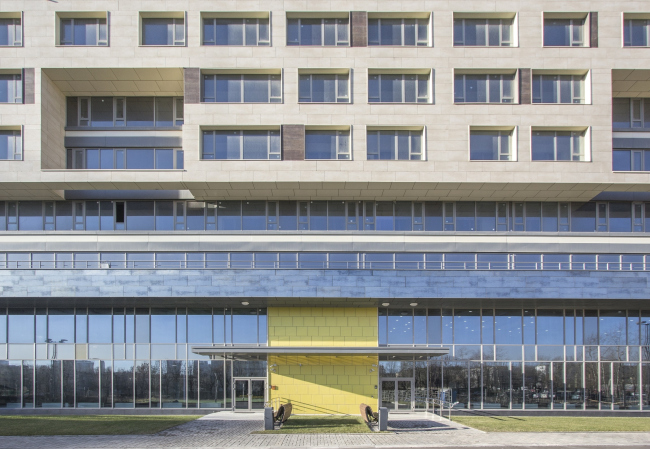 ����� �������� �Versis� �� ����������� ��������� � ������������� ���� �������