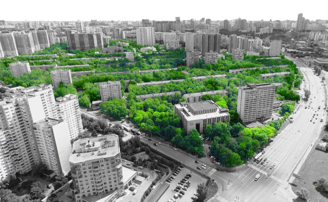 The renovation platform "Vernadskogo Avenue". The current state of greenery  Ostozhenka