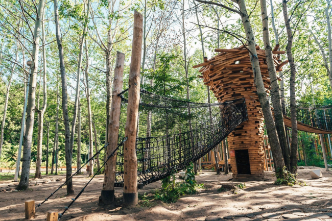 ������� �������� ���������� ���, ���������-����������� ���