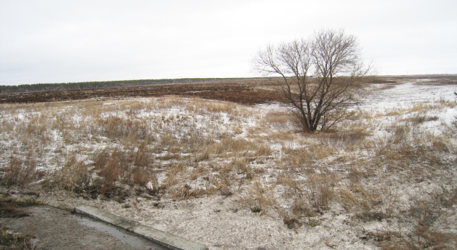 The territory of construction. Photo courtesy by Sergey Kisselev and Partners