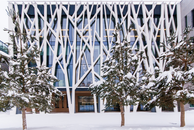 ����������� ��������, ������. �-������.�. ������������� ������������ ��������� �������� ���������