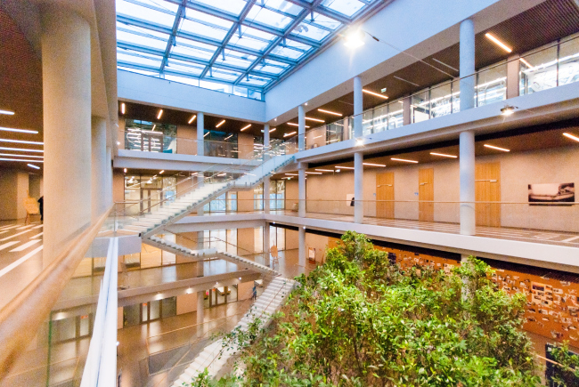 ����������� ��������, ������. �-������.�. ������������� ������������ ��������� �������� ���������