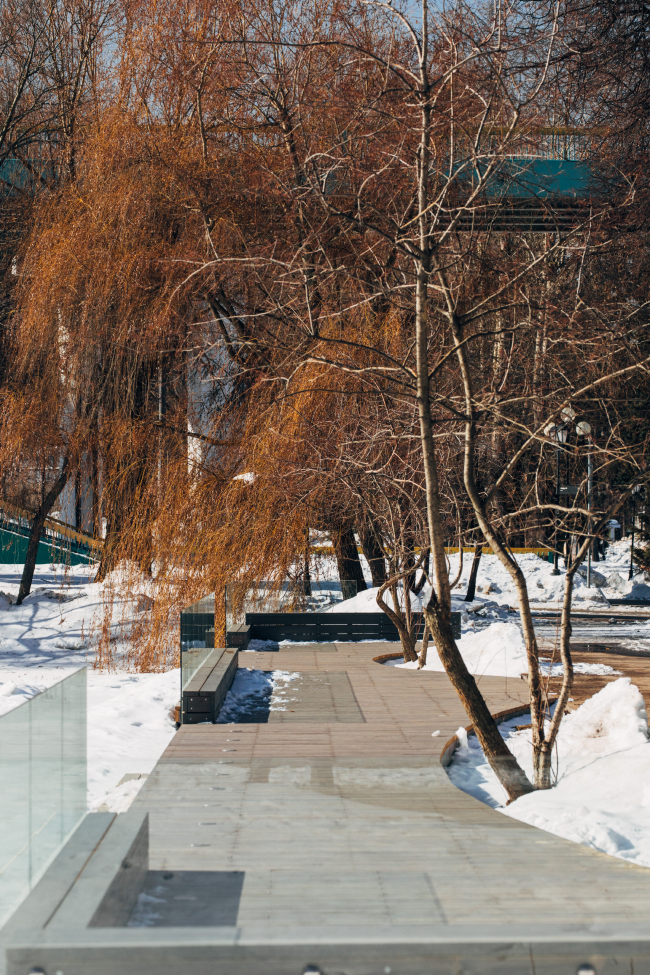 Landscaping the Maly Golitsinsky Pond in the Gorky Park   Peoples Architect