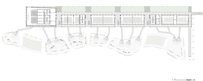 ������ ������������ ����� ������ ����� � IDOM