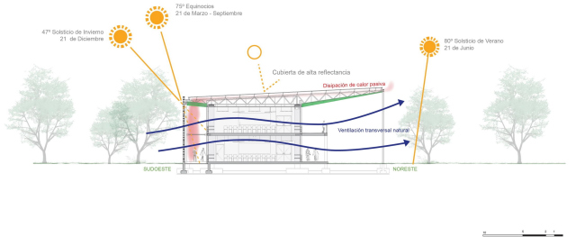 ������ ������������ ����� ������ ����� � IDOM