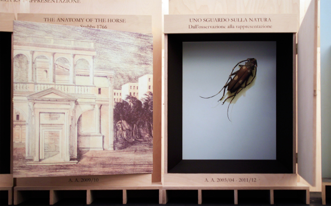 �������� 2018, �������. ���������� ����.��