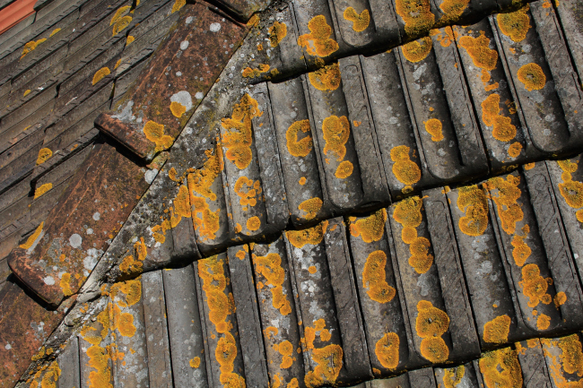 �������� ��������������, ����������� ���������� �������� 2018. ���������� ����.��