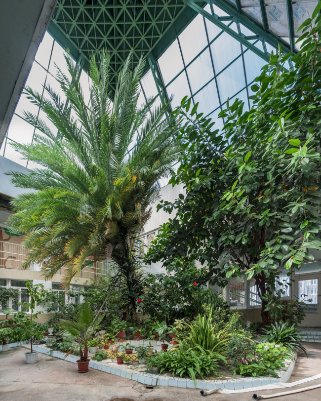 ������� ��� � �������. ���� � ���������� �������