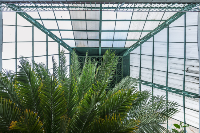 ������� ��� � �������. ���� � ���������� �������