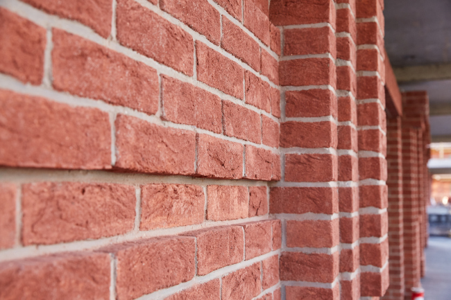 �� �������������, ���-����, ���������. ������������� ���� ��������������. ���������� ������������� Engels&Folkers