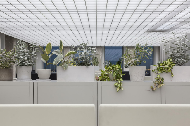 ���� Sony Music � ����� A�DAM. ���� � Peter Tijhuis