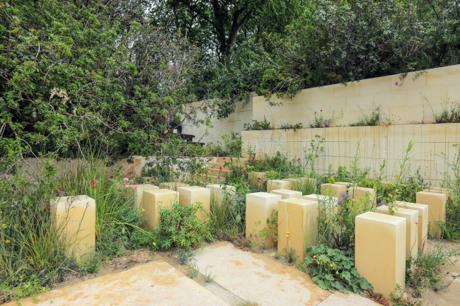 ��� ������� � ����� ������ �� Chelsea Flower Show 2017 � �������, ���������� ������� ������� ���� ��������. ���� � ������ �������
