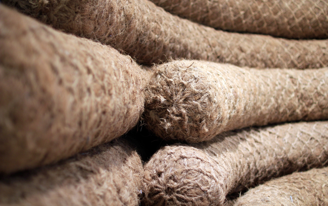 �������� ��� �� �������� ����������� � �������. ����������: �.����������, ����.�� 