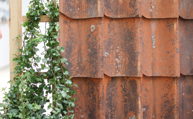 �������� ����� �� �������� ����������� � �������. ����������: �.����������, ����.�� 