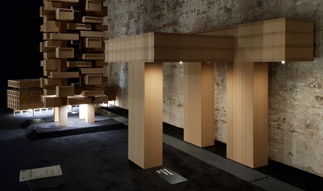 �������� ����������� �� �������� ����������� � �������. ����������: �.����������, ����.�� 