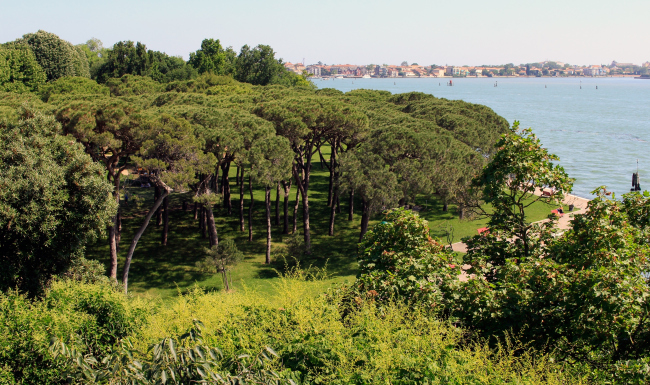 Laguna's view from the terrace on the top of the British pavilion. Photo: J. Tarabarina, archi.ru