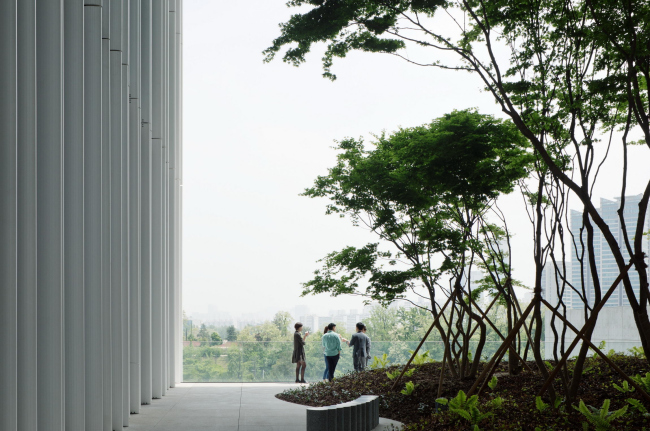 ����-�������� Amorepacific � Noshe