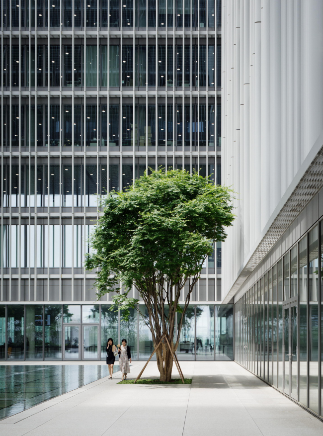 ����-�������� Amorepacific � Noshe