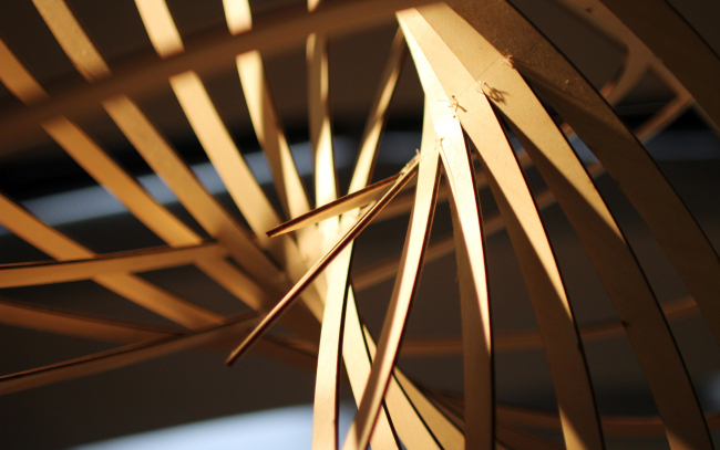 �������� ����������� ��������� ���������. ����������: ����.��