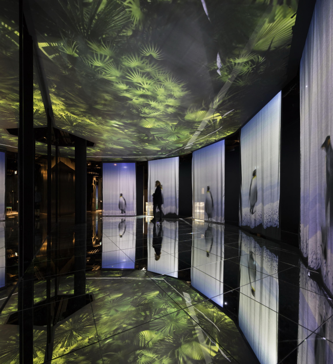 �������� Aquatis. ���� � Fernando Guerra | FG+SG