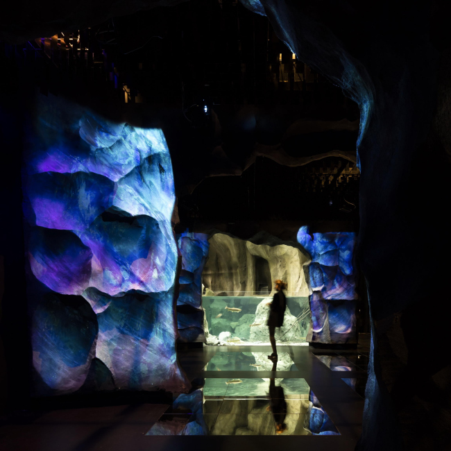 �������� Aquatis. ���� � Fernando Guerra | FG+SG